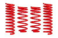 (image for) SPORTLINE KIT (RS3)