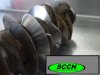 (image for) Crank Knife-Edging service: (6-cylinder)