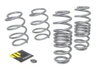 (image for) Lowering Springs - Golf R MK8