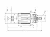 (image for) 6AN to 5/16 Straight Fittings (Bosch FP200/7)